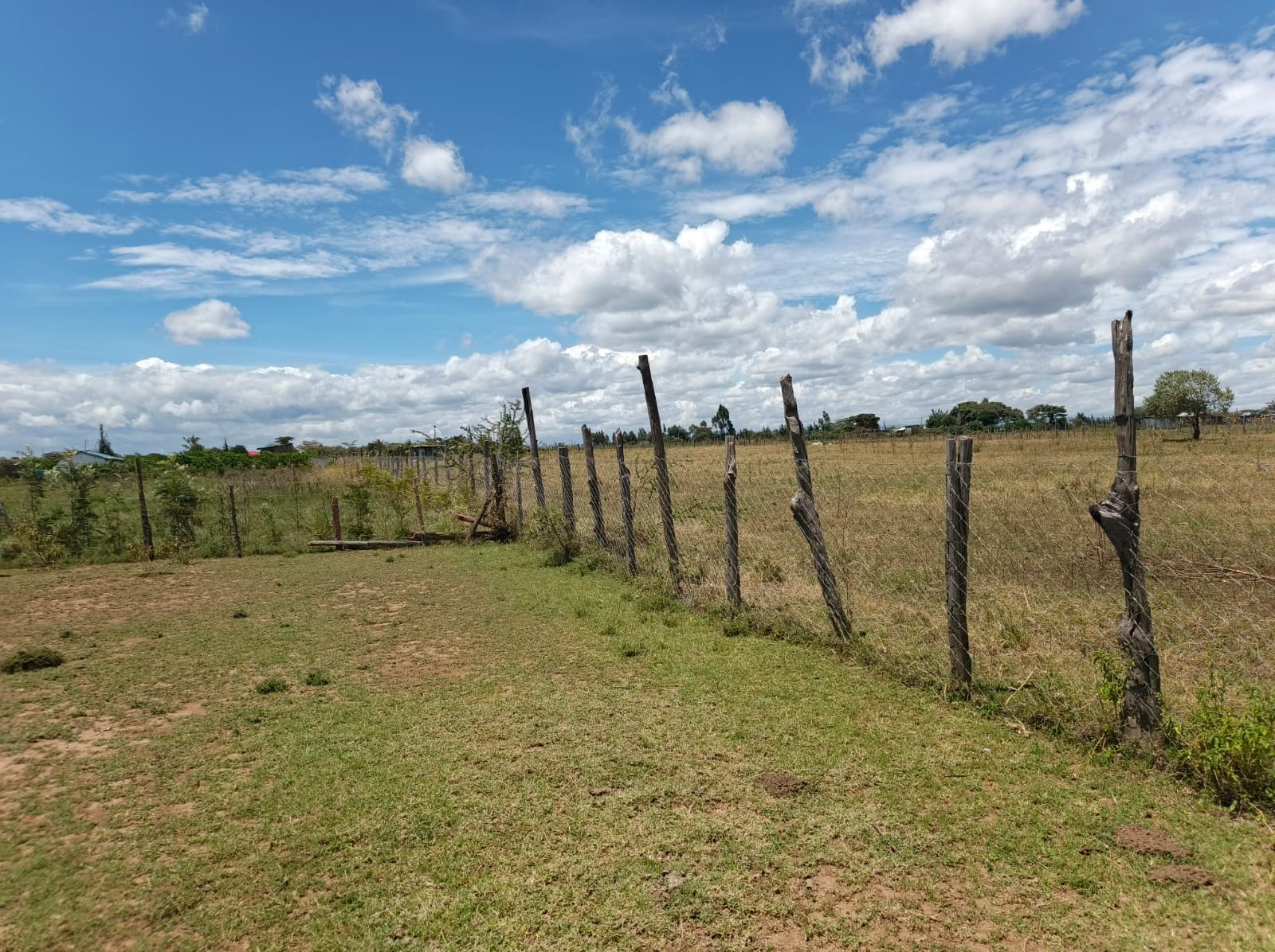 Industrial Park land thumbnail 2